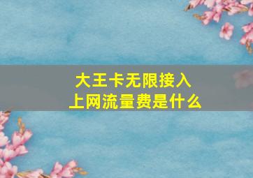 大王卡无限接入 上网流量费是什么